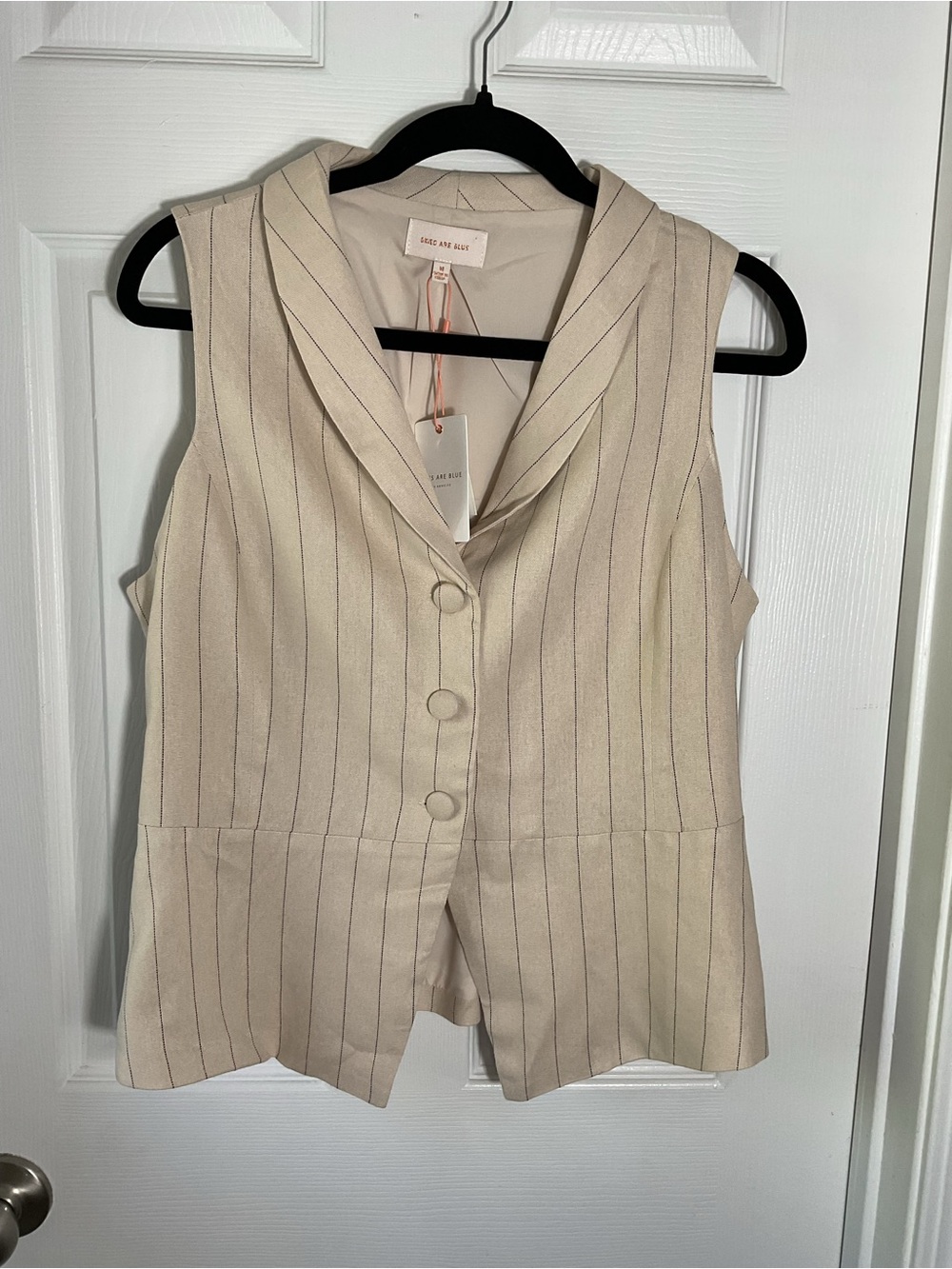 Skies Are Blue Linen Blend Vest Women M Beige Pinstripe Button Top Chic - Picture 3 of 8